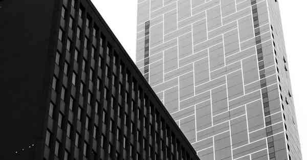 外国语单招大数据的行业文章