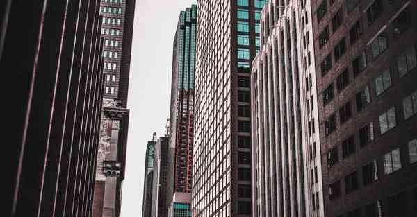 外国语单招大数据的行业文章