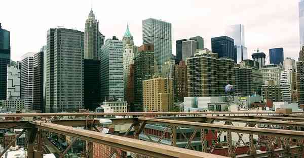 外国语单招大数据的行业文章