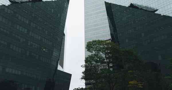 大数据判断数据变化趋势（大数据判断数据变化趋势分析）