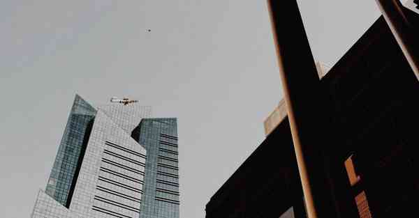 人类AI技术发展历程，AI的发展历史及现状