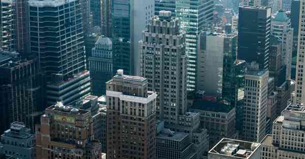 外国语单招大数据的行业文章