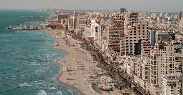 外国语单招大数据的行业文章