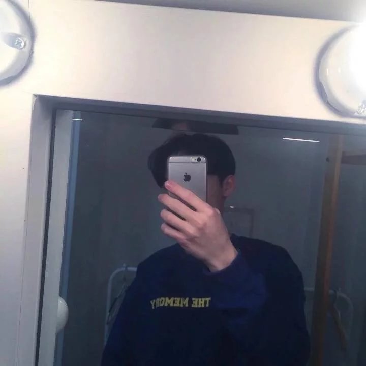 师爽莎叶