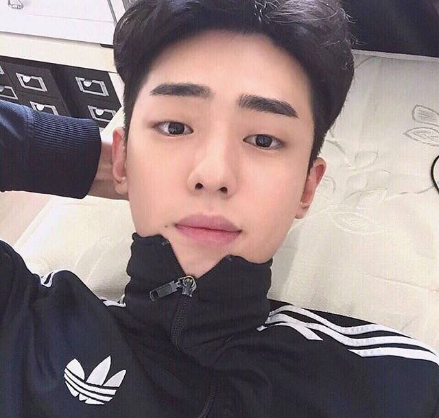雍志毓海