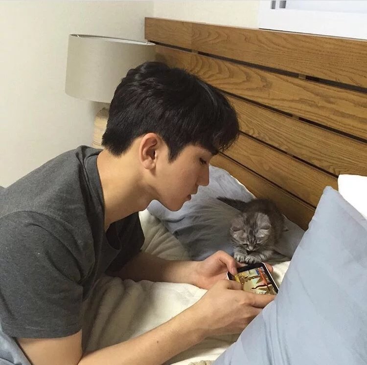 连凝儿策