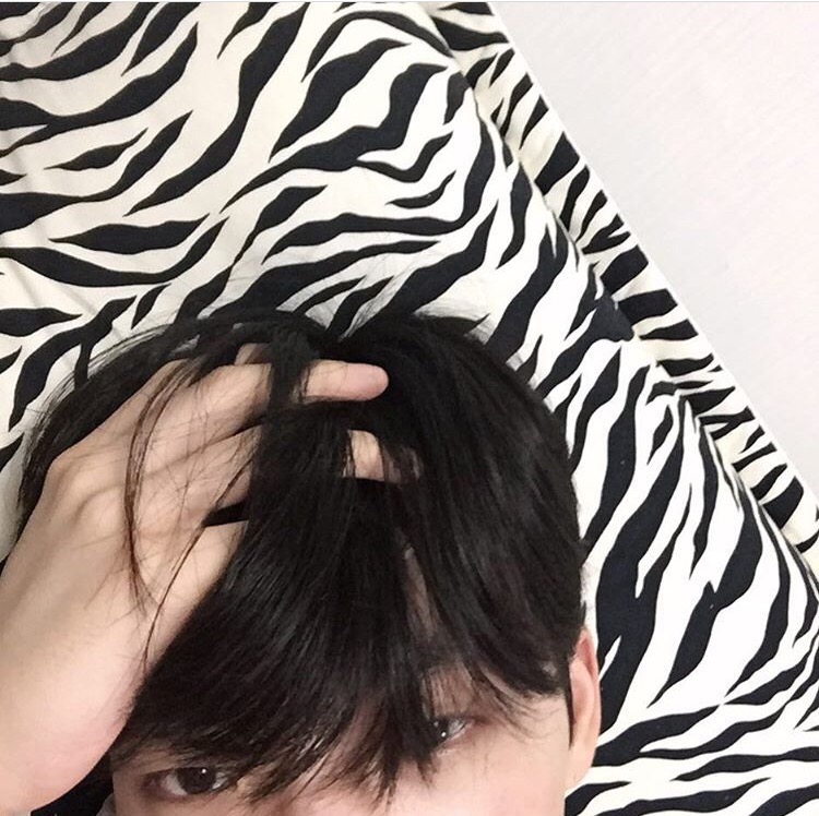 扶雯鹏丹