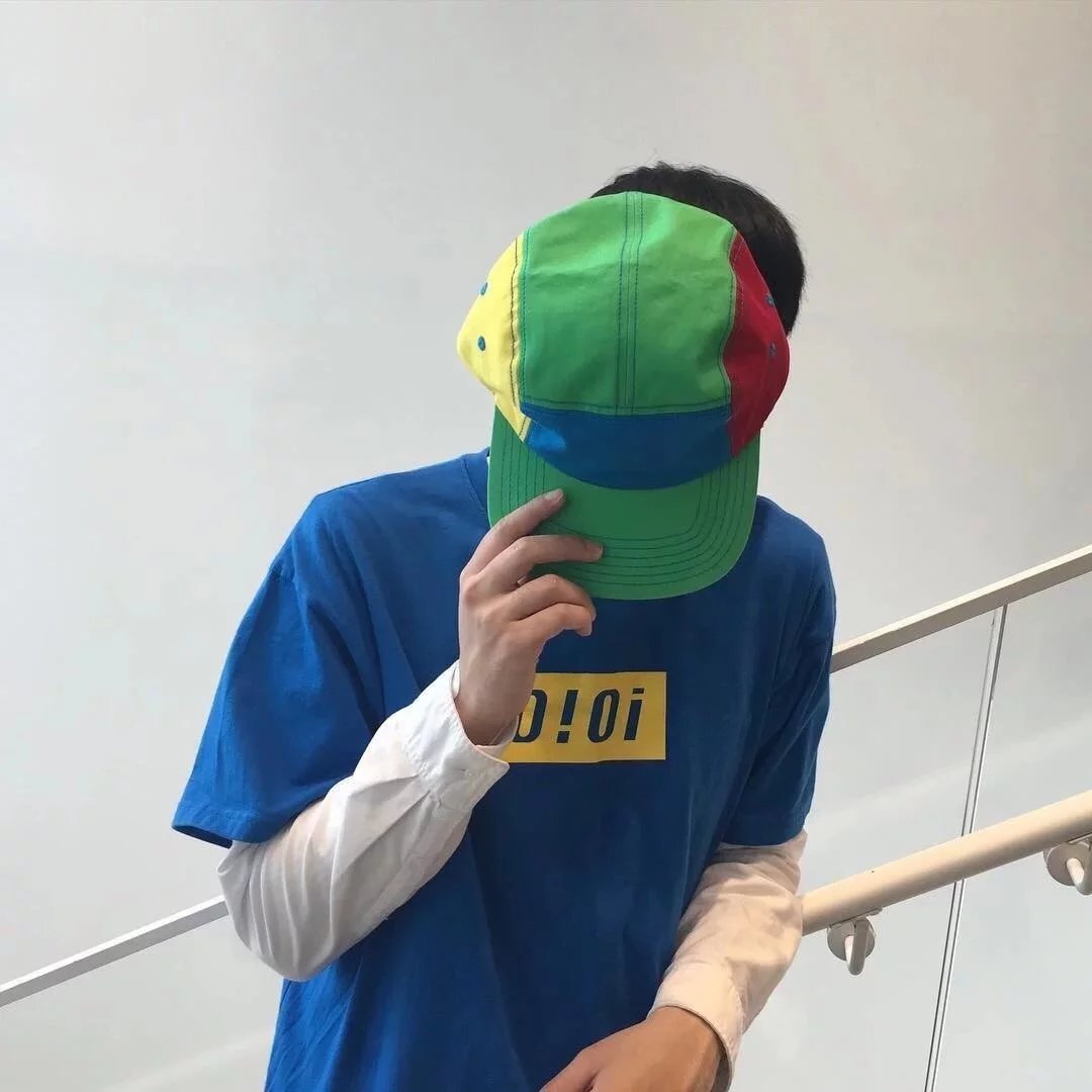 劳辰凤纪