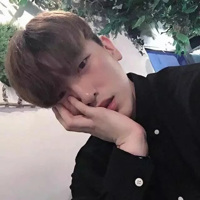 步霞盛桦