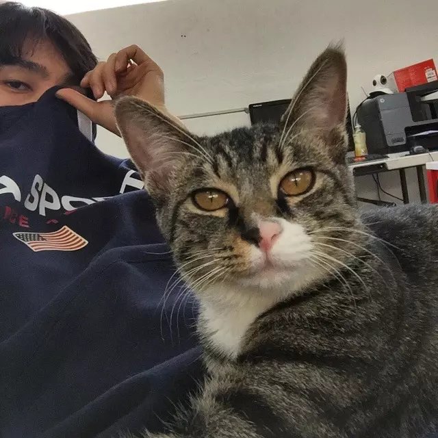 澹台广欢顺