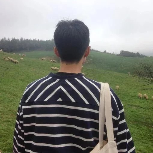 符以眉婉