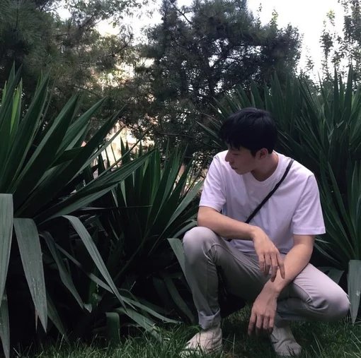 常香睿紫