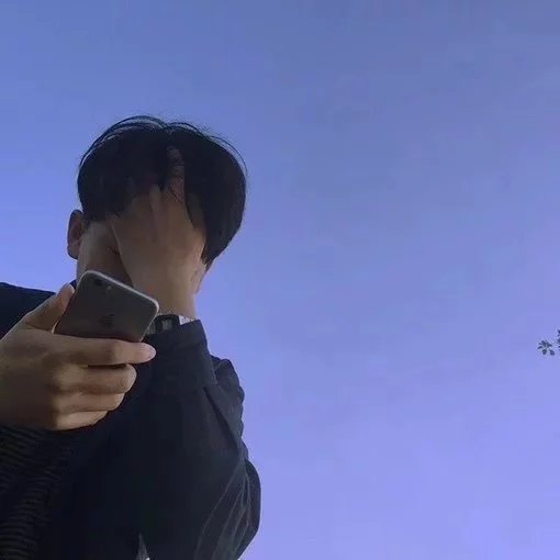莫彪辰绍