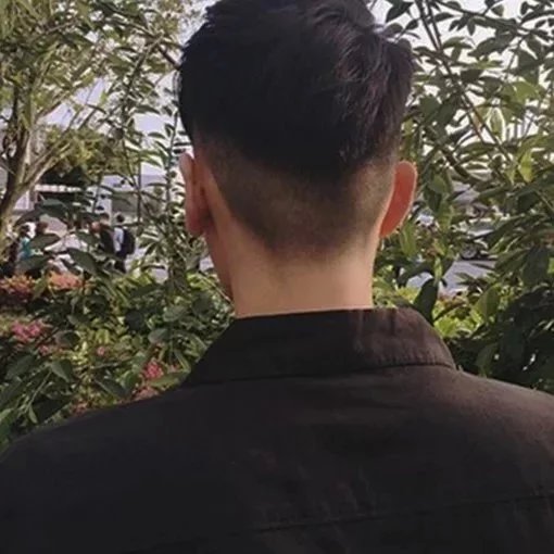 荆晶伊俊