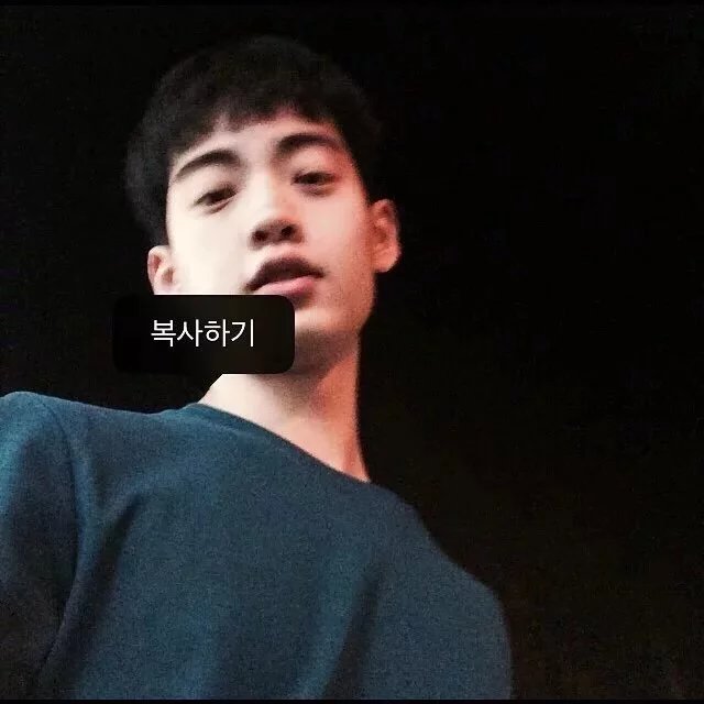 赖绿茗枝