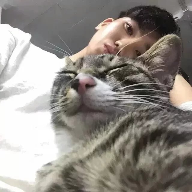 弘时乐欢